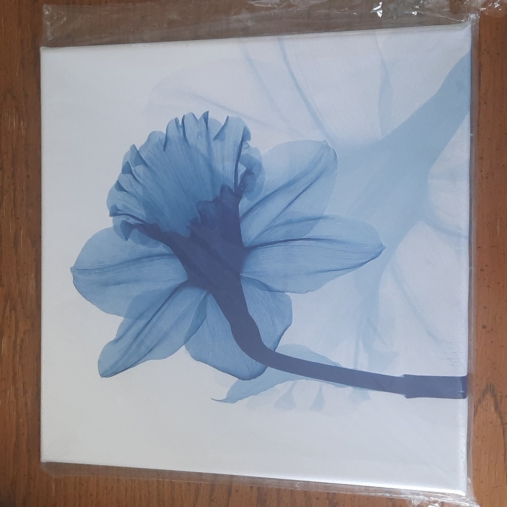 Daffodil on canvas artwork 12 x 12